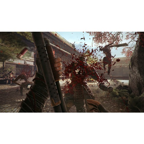 Shadow Warrior 2