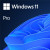 Microsoft Windows 11 Pro SK