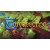 Carcassonne - Tiles & Tactics