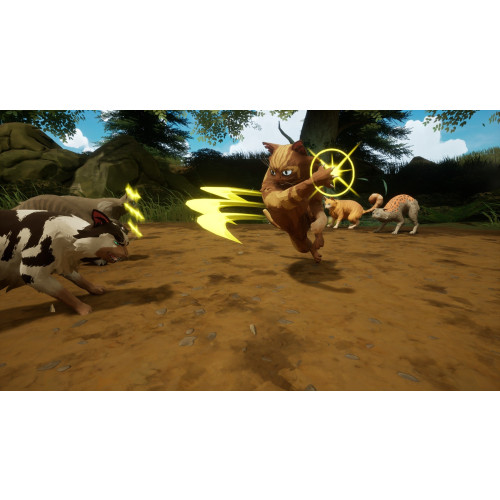 Warrior Cats: Clans of the Forest