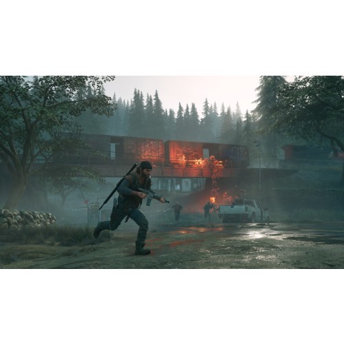 Days Gone