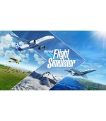 Microsoft Flight Simulator