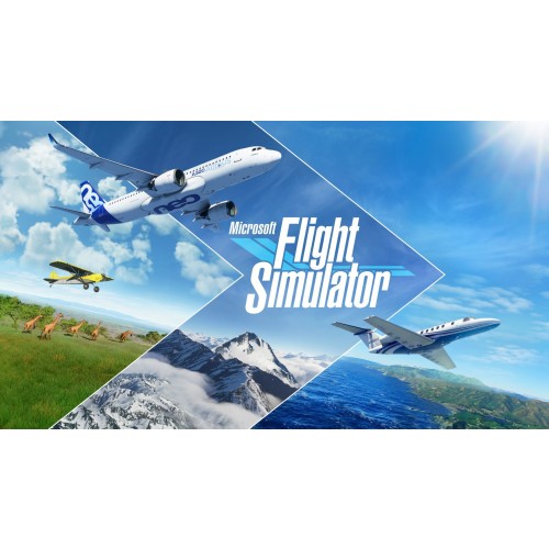 Microsoft Flight Simulator