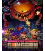 Enter the Gungeon
