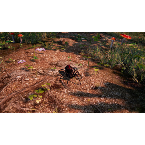Away: The Survival Series