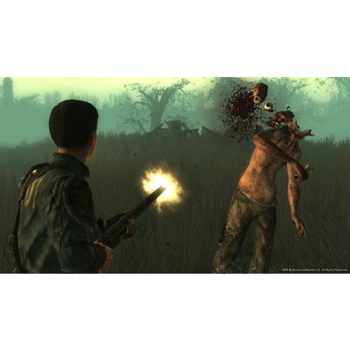 Fallout 3 Point Lookout