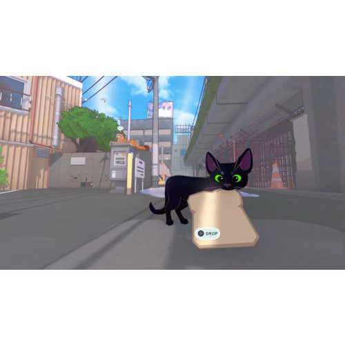 Little Kitty, Big City