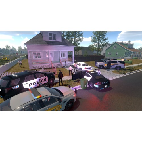 Flashing Lights: Police - Fire - EMS