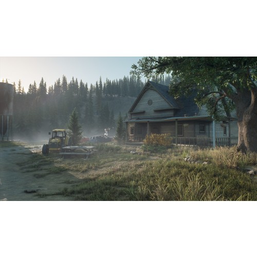 Days Gone