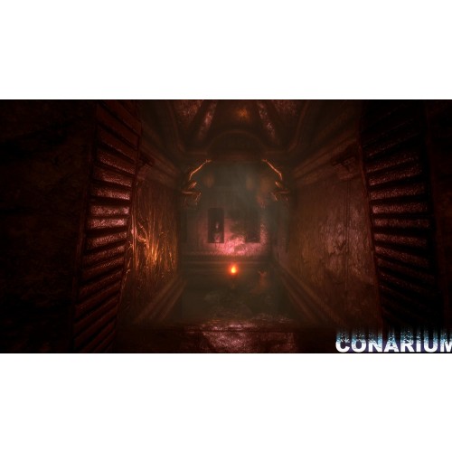 Conarium