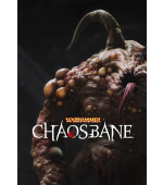 Warhammer Chaosbane