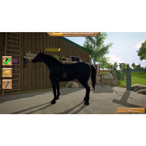 My Little Riding Champion