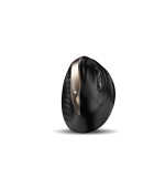 Genius Ergo 8250S/Vertikální/Optická/Pro praváky/1 600 DPI/Bezdrátová USB/Černá-zlatá