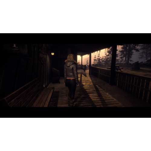 Until Dawn