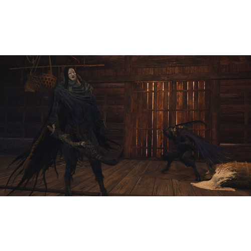 Onimusha: Way of the Sword
