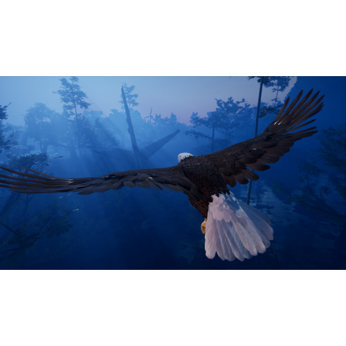 Away: The Survival Series