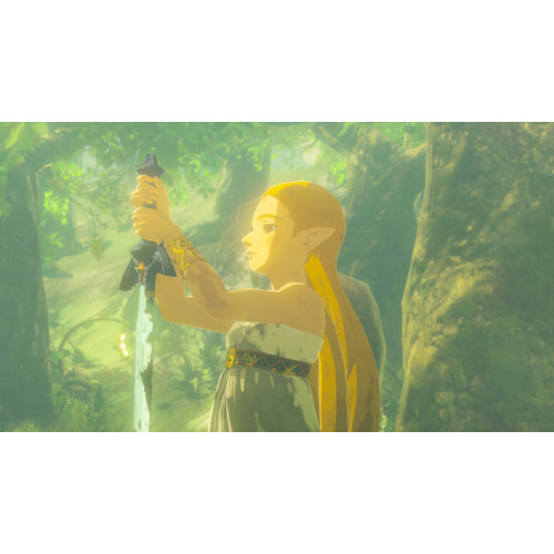 The Legend of Zelda: Breath of the Wild