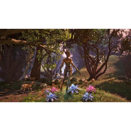 The Elder Scrolls IV: Oblivion Remastered Deluxe Edition