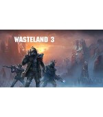 Wasteland 3