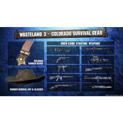 Wasteland 3 D1 edition