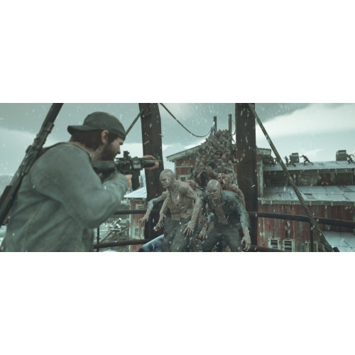 Days Gone
