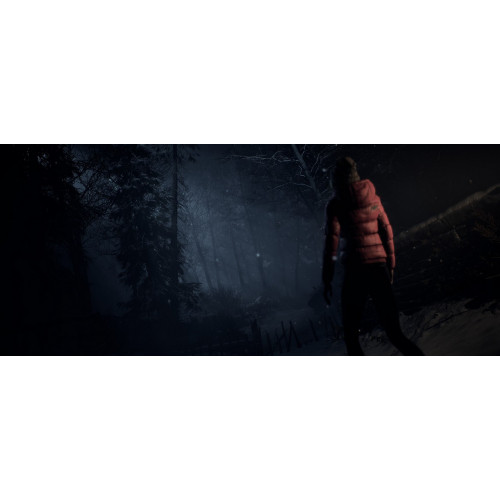 Until Dawn