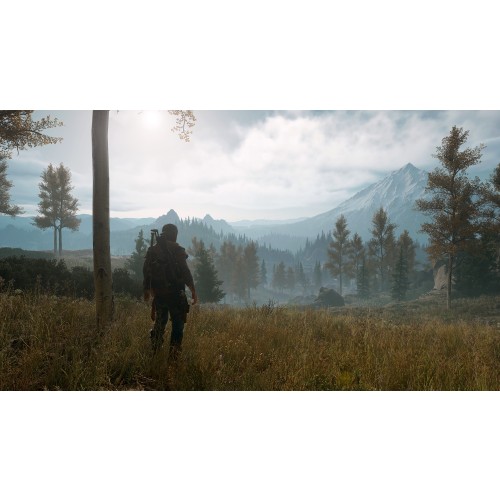 Days Gone