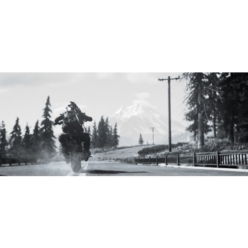 Days Gone