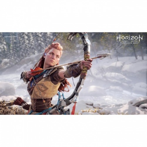 Horizon: Forbidden West