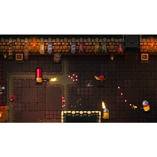 Enter the Gungeon