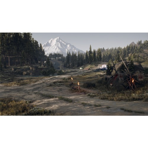 Days Gone