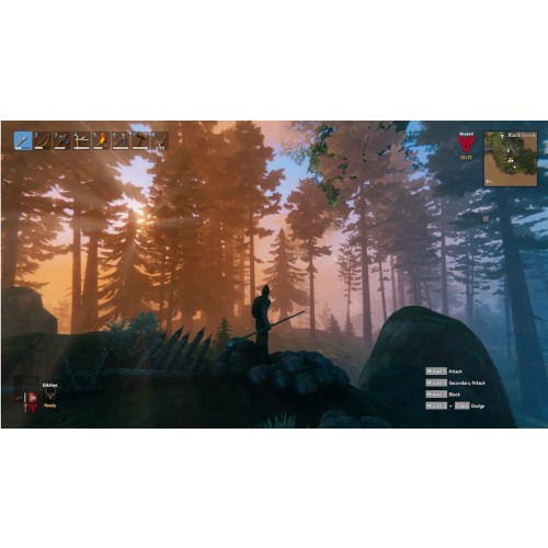 Valheim