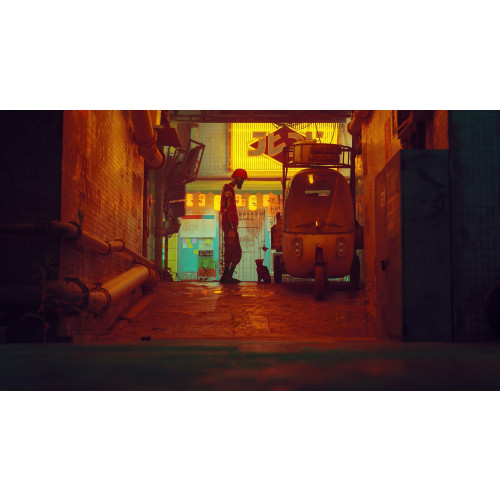 Stray