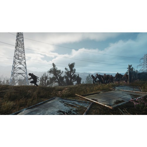 Days Gone
