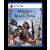 Assassin's Creed Black Flag Resynced