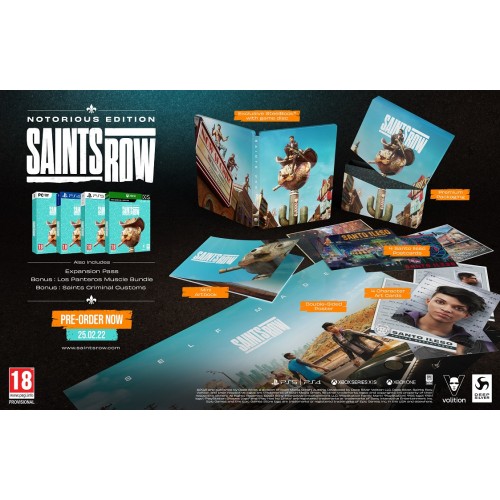 Saints Row Notorious Edition