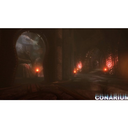 Conarium