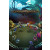 Legendary Creatures 2