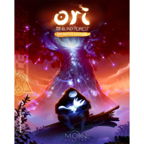 Ori and the Blind Forest Definitive edition
