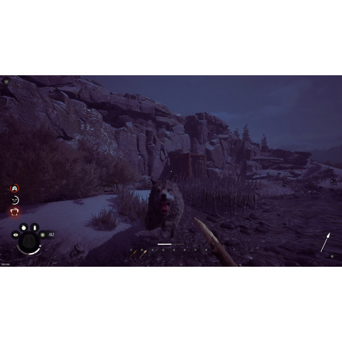 Winter Survival