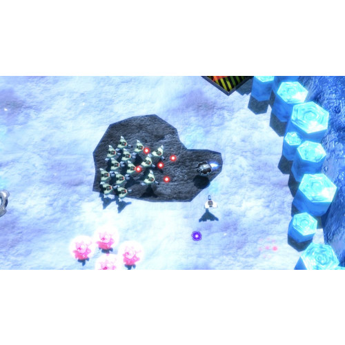 Hexodius