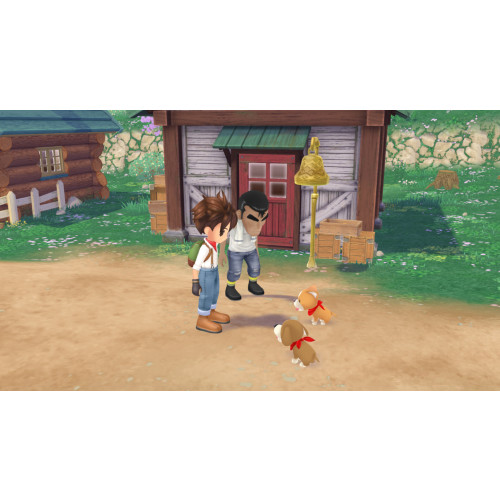 Story of Seasons: A Wonderful Life (Limited Edition)