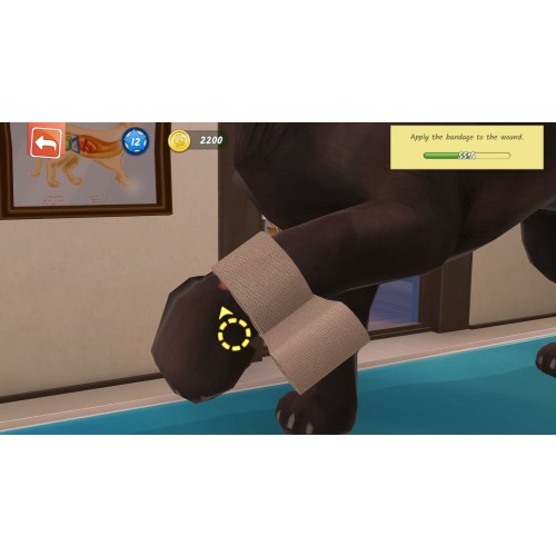Animal Hospital