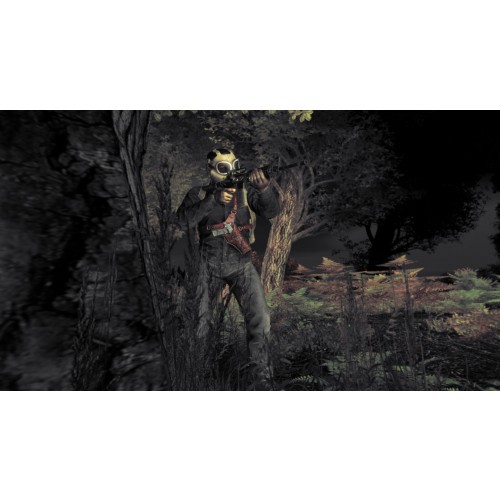 DayZ