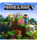 Minecraft ( Java )