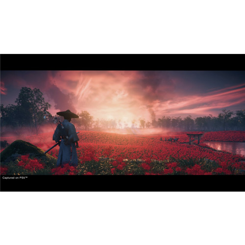 Ghost of Tsushima (Director’s Cut)