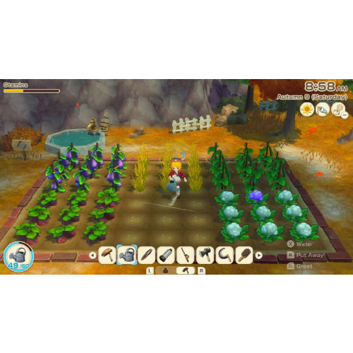Story of Seasons Grand Bazaar