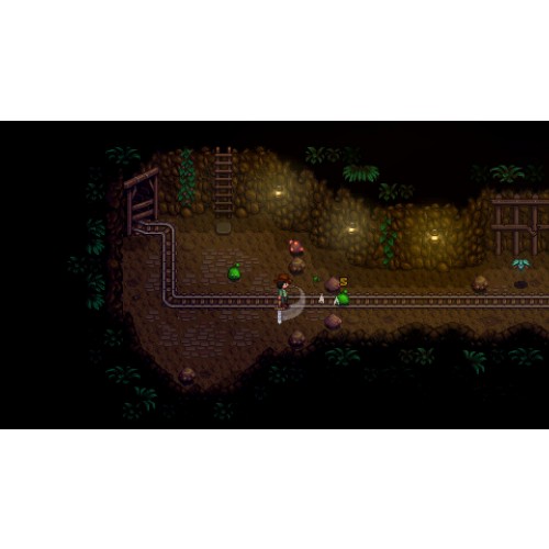 Stardew Valley