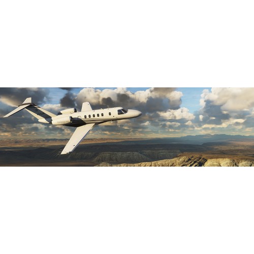 Microsoft Flight Simulator