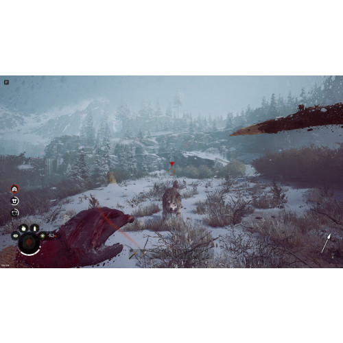 Winter Survival
